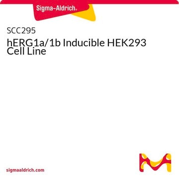 hERG1a/1b Inducible HEK293 Cell Line