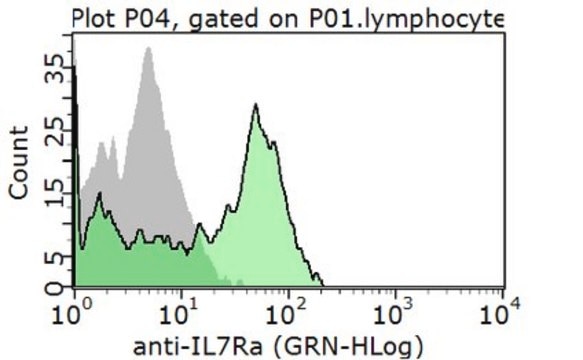 Anti-IL-7Ra (CD127), extracellular Antibody from rabbit, purified by affinity chromatography