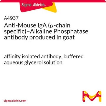 Anti-Mouse IgA (&#945;-chain specific)&#8722;Alkaline Phosphatase antibody produced in goat affinity isolated antibody, buffered aqueous glycerol solution