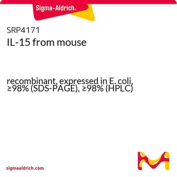 IL-15 from mouse recombinant, expressed in E. coli, &#8805;98% (SDS-PAGE), &#8805;98% (HPLC)