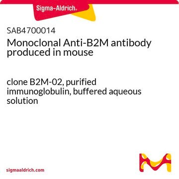 Monoclonal Anti-B2M antibody produced in mouse clone B2M-02, purified immunoglobulin, buffered aqueous solution