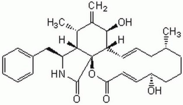 Cytochalasin B, Helminthosporium dematioideum Cell-permeable fungal toxin.