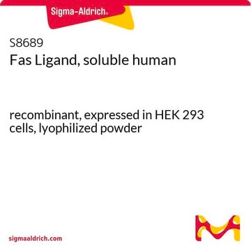 Fas Ligand, soluble human recombinant, expressed in HEK 293 cells, lyophilized powder