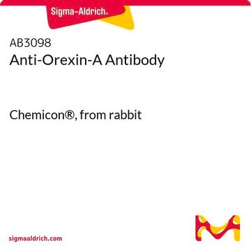 Anti-Orexin-A Antibody Chemicon&#174;, from rabbit