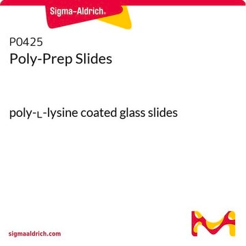 Poly-Prep Slides poly-L-lysine coated glass slides