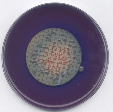 M FC agar GranuCult&#174;, suitable for microbiology, for coliforms