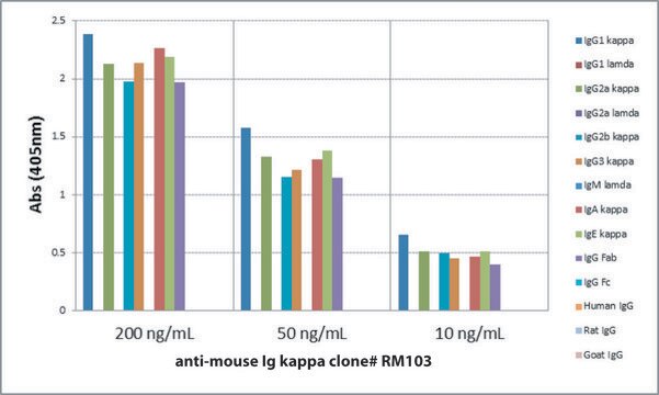 Anti-Mouse Ig Kappa Light Chain-Biotin antibody, Rabbit monoclonal recombinant, expressed in HEK 293 cells, clone RM103, purified immunoglobulin