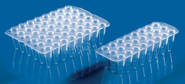 BRAND&#174; 24-well PCR plate no skirt, thin-walled, flexible, clear