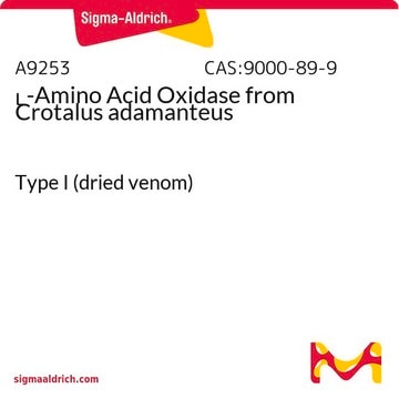 L-Amino Acid Oxidase from Crotalus adamanteus Type I (dried venom)