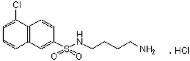 W-13, Hydrochloride A cell-permeable and reversible calmodulin antagonist that inhibits myosin light chain kinase (IC&#8325;&#8320; = 58 &#181;M) and Ca2+-calmodulin-dependent phosphodiesterase (IC&#8325;&#8320; = 68 &#181;M).