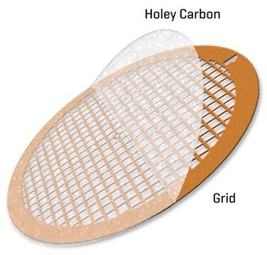 Holey Carbon Supported Copper Grids grid size 300&#160;mesh, hole avg. diam. 100&#160;nm, box of 25