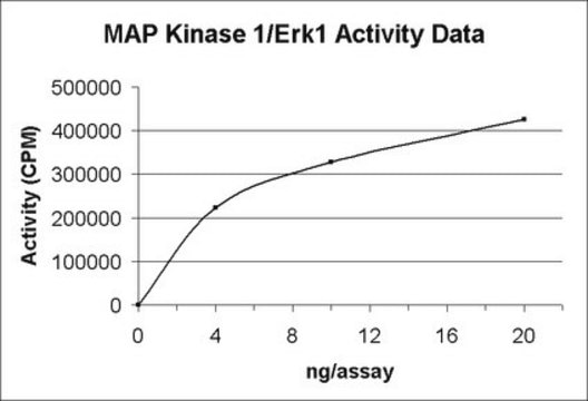 MAP Kinase 1/Erk1 Protein, active, 10 &#181;g Active, recombinant, full-length, human MAP Kinase 1/Erk1 containing an N-terminal GST tag, for use in Kinase Assays.