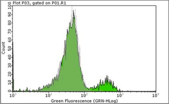 Anti-CD19 Antibody, clone HD37 clone HD37, Chemicon&#174;, from mouse