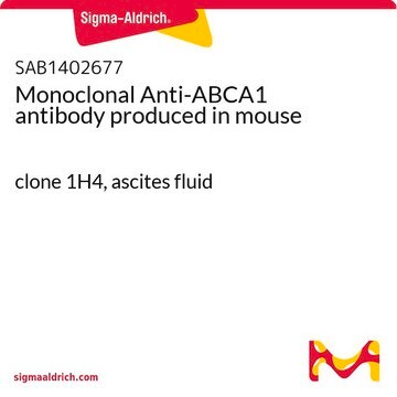 Monoclonal Anti-ABCA1 antibody produced in mouse clone 1H4, ascites fluid