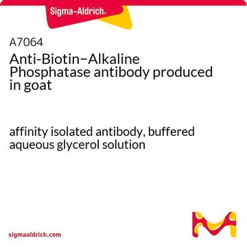 Anti-Biotin&#8722;Alkaline Phosphatase antibody produced in goat affinity isolated antibody, buffered aqueous glycerol solution