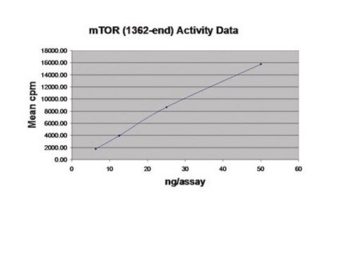 mTOR (1362-end) Protein, active, 10 &#181;g Active, N-terminal FLAG-tagged, recombinant, human mTOR, amino acids 1362-end, for use in Kinase Assays.