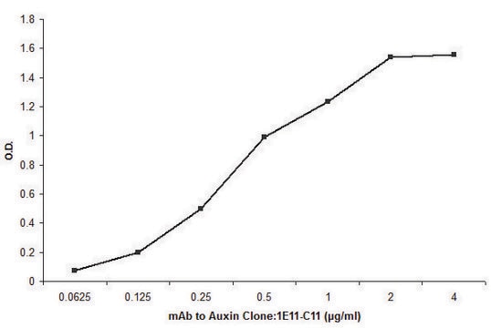 Anti-Auxin antibody, Mouse monoclonal clone 1E11-C11, purified from hybridoma cell culture