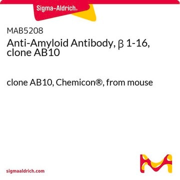 Anti-Amyloid Antibody, &#946; 1-16, clone AB10 clone AB10, Chemicon&#174;, from mouse