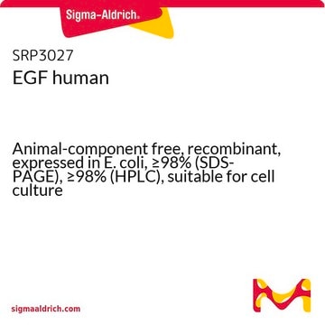 EGF human Animal-component free, recombinant, expressed in E. coli, &#8805;98% (SDS-PAGE), &#8805;98% (HPLC), suitable for cell culture