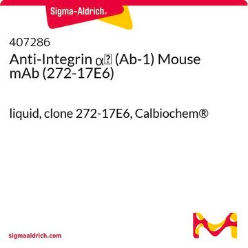 Anti-Integrin &#945;v (Ab-1) Mouse mAb (272-17E6) liquid, clone 272-17E6, Calbiochem&#174;