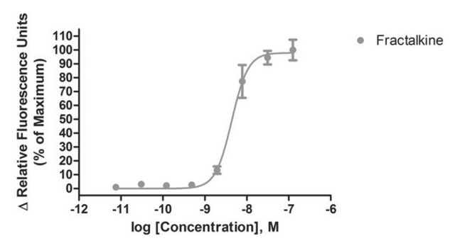 Ready-to-Assay CX3CR1 Chemokine Receptor Frozen Cells Human CX3CR1 GPCR frozen cells for Calcium Flux FLIPR Assays.