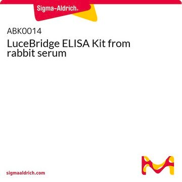 LuceBridge ELISA Kit from rabbit serum