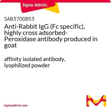 Anti-Rabbit IgG (Fc specific), highly cross adsorbed-Peroxidase antibody produced in goat affinity isolated antibody, lyophilized powder