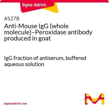 Anti-Mouse IgG (whole molecule)–Peroxidase antibody produced in goat IgG fraction of antiserum, buffered aqueous solution