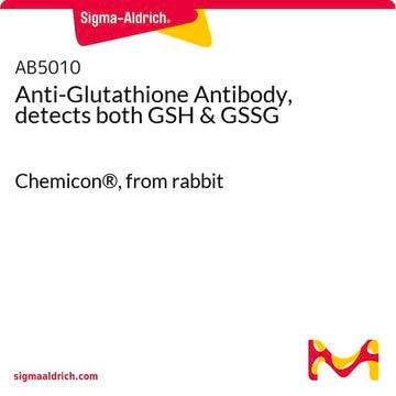 Anti-Glutathione Antibody, detects both GSH &amp; GSSG Chemicon&#174;, from rabbit