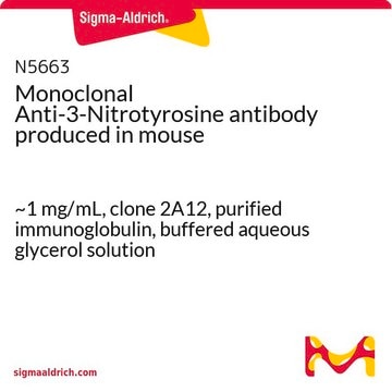 Monoclonal Anti-3-Nitrotyrosine antibody produced in mouse ~1&#160;mg/mL, clone 2A12, purified immunoglobulin, buffered aqueous glycerol solution