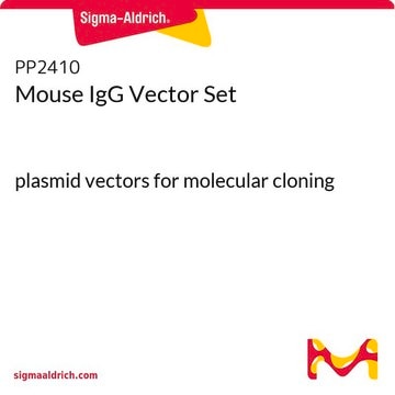 Mouse IgG Vector Set plasmid vectors for molecular cloning