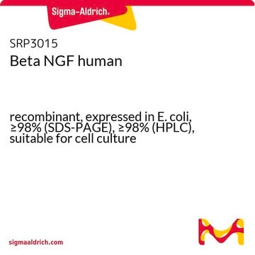 Beta NGF human recombinant, expressed in E. coli, &#8805;98% (SDS-PAGE), &#8805;98% (HPLC), suitable for cell culture