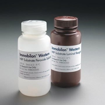 Immobilon Western Chemiluminescent HRP Substrate Immobilon Western HRP Substrate provides high sensitivity for Chemiluminescent detection in western or dot/slot/spot blotting applications on both PVDF and nitrocellulose membranes, and is compatible with all commonly used buffers and blocking reagents.