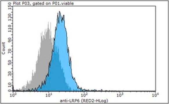 Anti-LRP6, clone A59, Ectodomain Antibody clone A59, from mouse