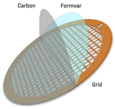 Formvar/Carbon Supported Copper Grids grid size 300&#160;mesh, box of 50