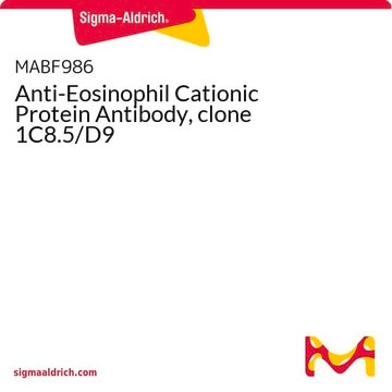 Anti-Eosinophil Cationic Protein Antibody, clone 1C8.5/D9