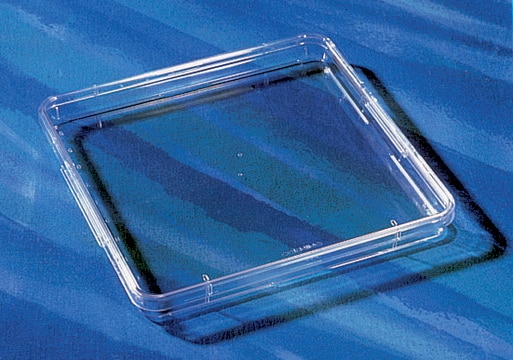 Corning&#174; square bioassay dishes without handles, TC treated, square