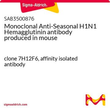 Monoclonal Anti-Seasonal H1N1 Hemagglutinin antibody produced in mouse clone 7H12F6, affinity isolated antibody