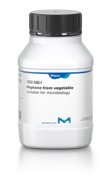 Peptone from vegetable suitable for microbiology