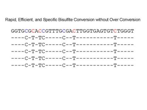 CpGenome Turbo Bisulfite Modification Kit The CpGenome Turbo Bisulfite Modification Kit is designed to simplify &amp; streamline the bisulfite modification process. In just 90 minutes go from DNA sample to bisulfite converted DNA ready for analysis.