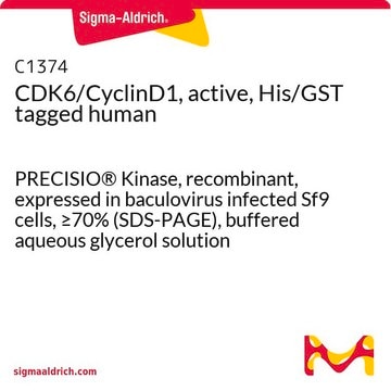 CDK6/CyclinD1, active, His/GST tagged human PRECISIO&#174; Kinase, recombinant, expressed in baculovirus infected Sf9 cells, &#8805;70% (SDS-PAGE), buffered aqueous glycerol solution