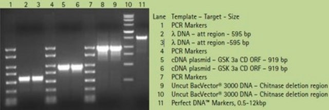 KOD Hot Start Master Mix Ready-to-use 2X mixture, containing KOD Hot Start DNA Polymerase, two monoclonal antibodies, ultrapure deoxynucleotides, and reaction buffer with MgSO4, optimized for convenient high fidelity PCR., ready-to-use solution, suitable for PCR