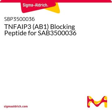 TNFAIP3 (AB1) Blocking Peptide for SAB3500036