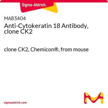 Anti-Cytokeratin 18 Antibody, clone CK2 clone CK2, Chemicon&#174;, from mouse