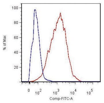 Monoclonal Anti-CD54-FITC antibody produced in rat clone YN1/1.7.4, purified immunoglobulin, buffered aqueous solution