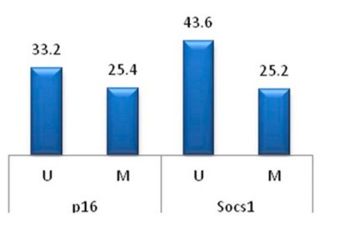 CpGenome Rat Methylated and Unmethylated Genomic DNA Standard Set Useful as a control or standard for variety of epigenomic assays such as methylated or unmethylated DNA enrichment, bisulfite conversion or melt curve analysis to determine the status of global or locus- specific DNA methylation.