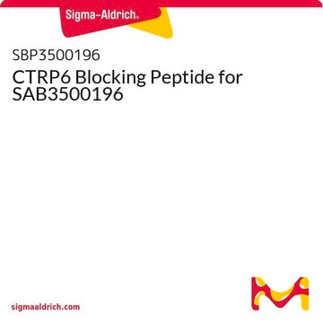 CTRP6 Blocking Peptide for SAB3500196