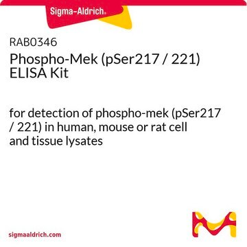 Phospho-Mek (pSer217 / 221) ELISA Kit for detection of phospho-mek (pSer217 / 221) in human, mouse or rat cell and tissue lysates