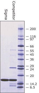 Superoxide Dismutase from bovine erythrocytes BioUltra, lyophilized powder, &#8805;4,500&#160;units/mg protein, &#8805;97% (SDS-PAGE)