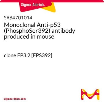 Monoclonal Anti-p53 (PhosphoSer392) antibody produced in mouse clone FP3.2 [FPS392]